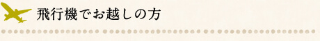 飛行機でお越しの方